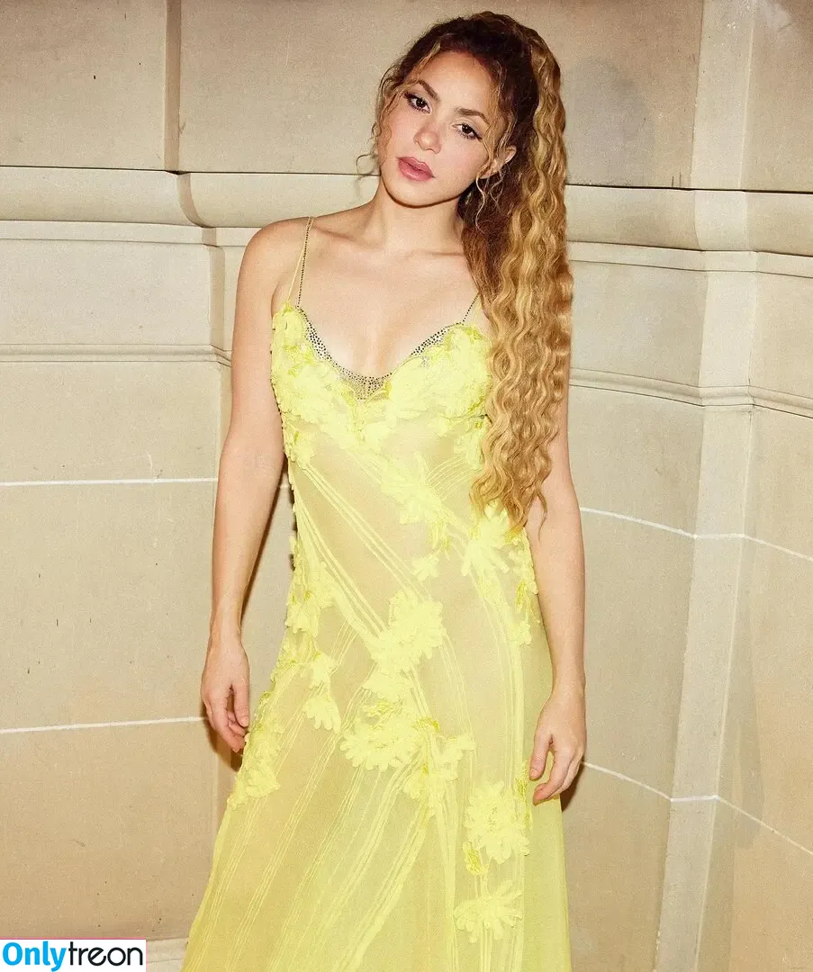 Shakira nude photo #1374 (shakkira)