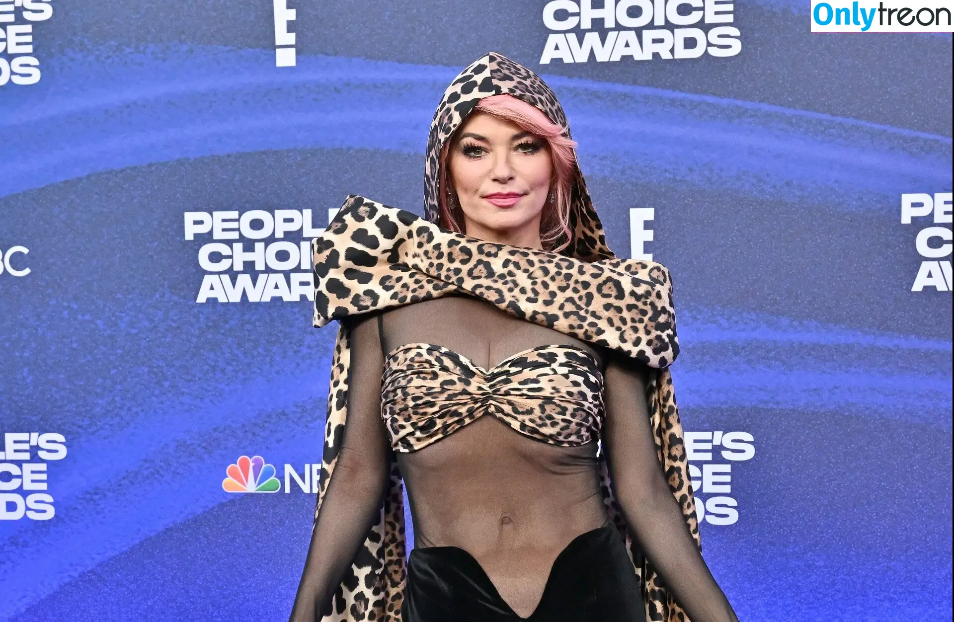 Shania Twain nude photo #0146 (shaniatwain)