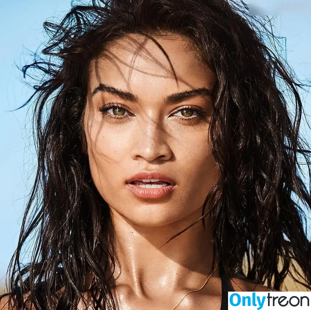 Shanina Shaik nude photo #0807 (shaninamshaik)