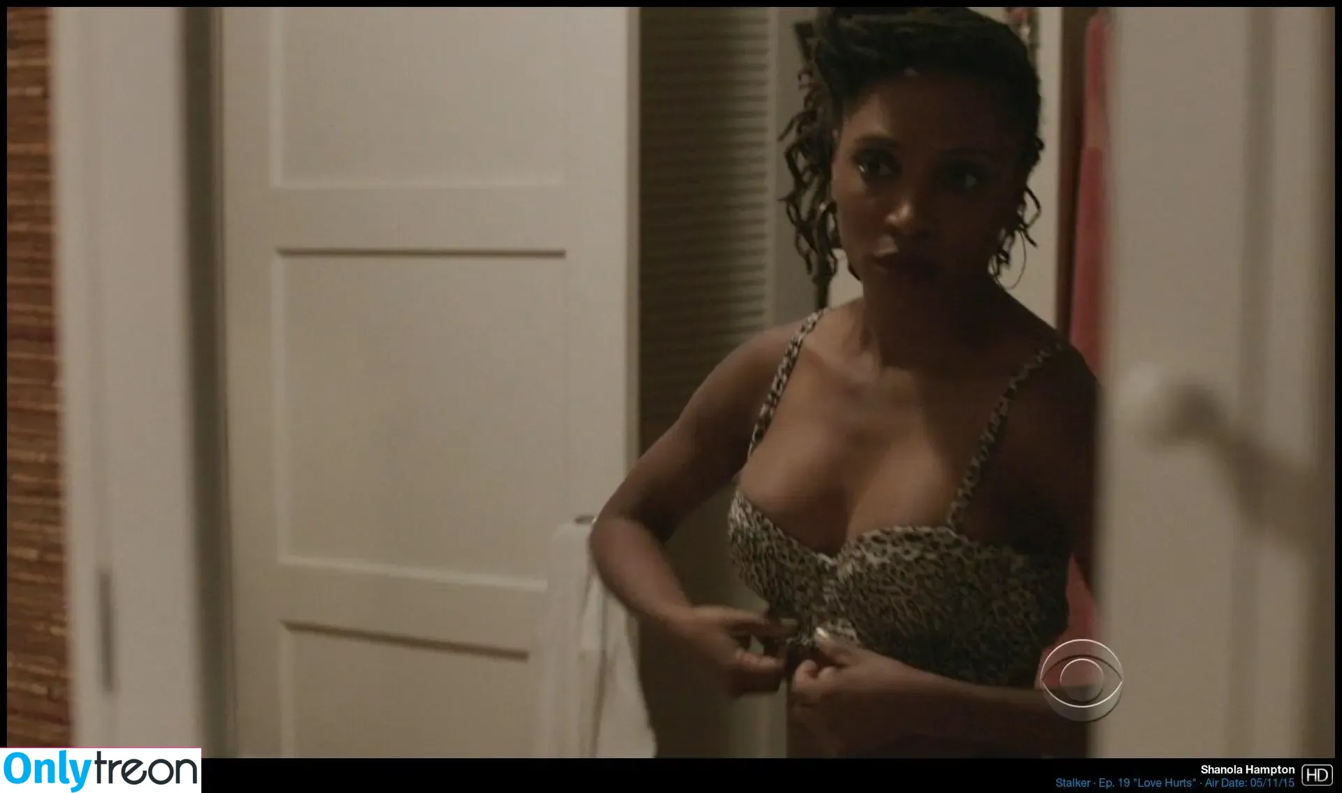 Shanola Hampton nude photo #0030 (shanolahampton)