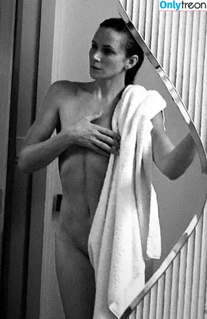 Shantel VanSanten / therealshantel nude photo #0252