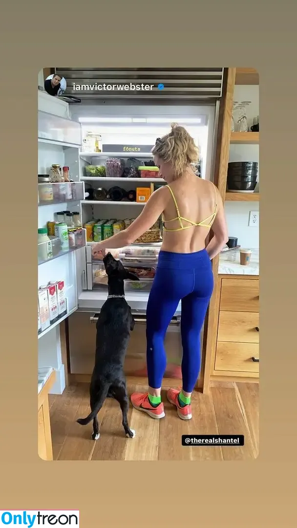 Shantel VanSanten nude photo #0381 (therealshantel)