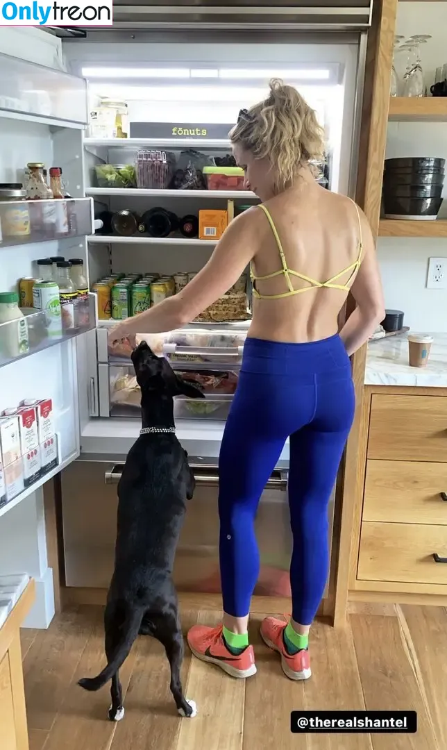 Shantel VanSanten nude photo #0382 (therealshantel)