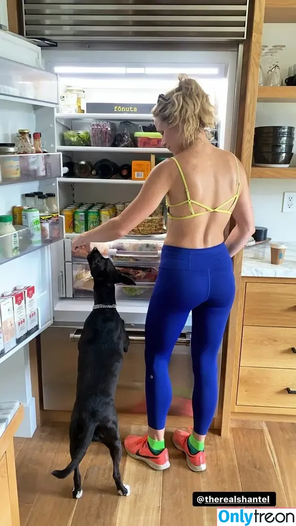 Shantel VanSanten nude photo #0385 (therealshantel)