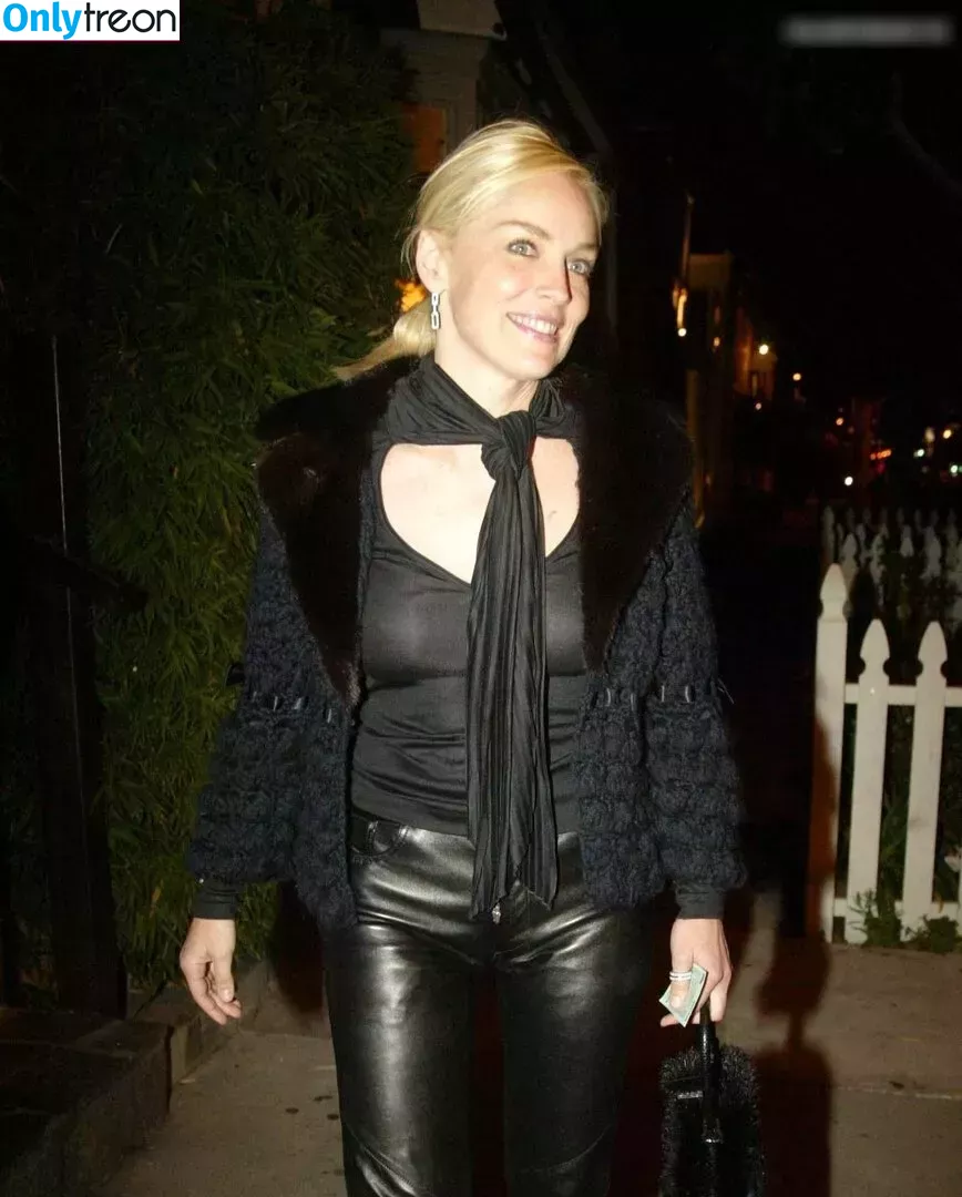 Sharon Stone nude photo #0135 (search / sharonstone)