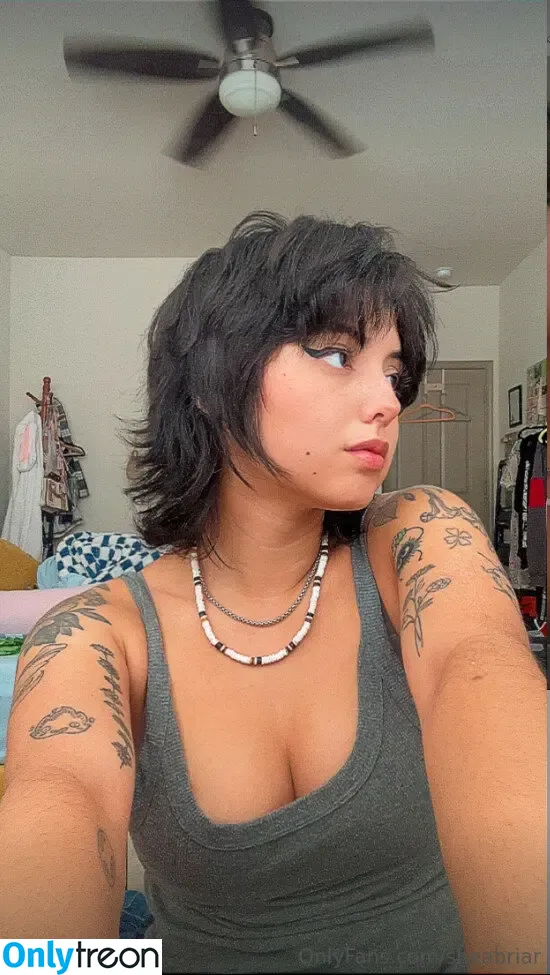 Shea Briar nude photo #0095 (shea.briar / sheabriar)