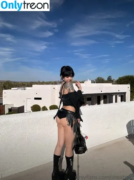 Shea Briar nude photo #0118 (shea.briar / sheabriar)