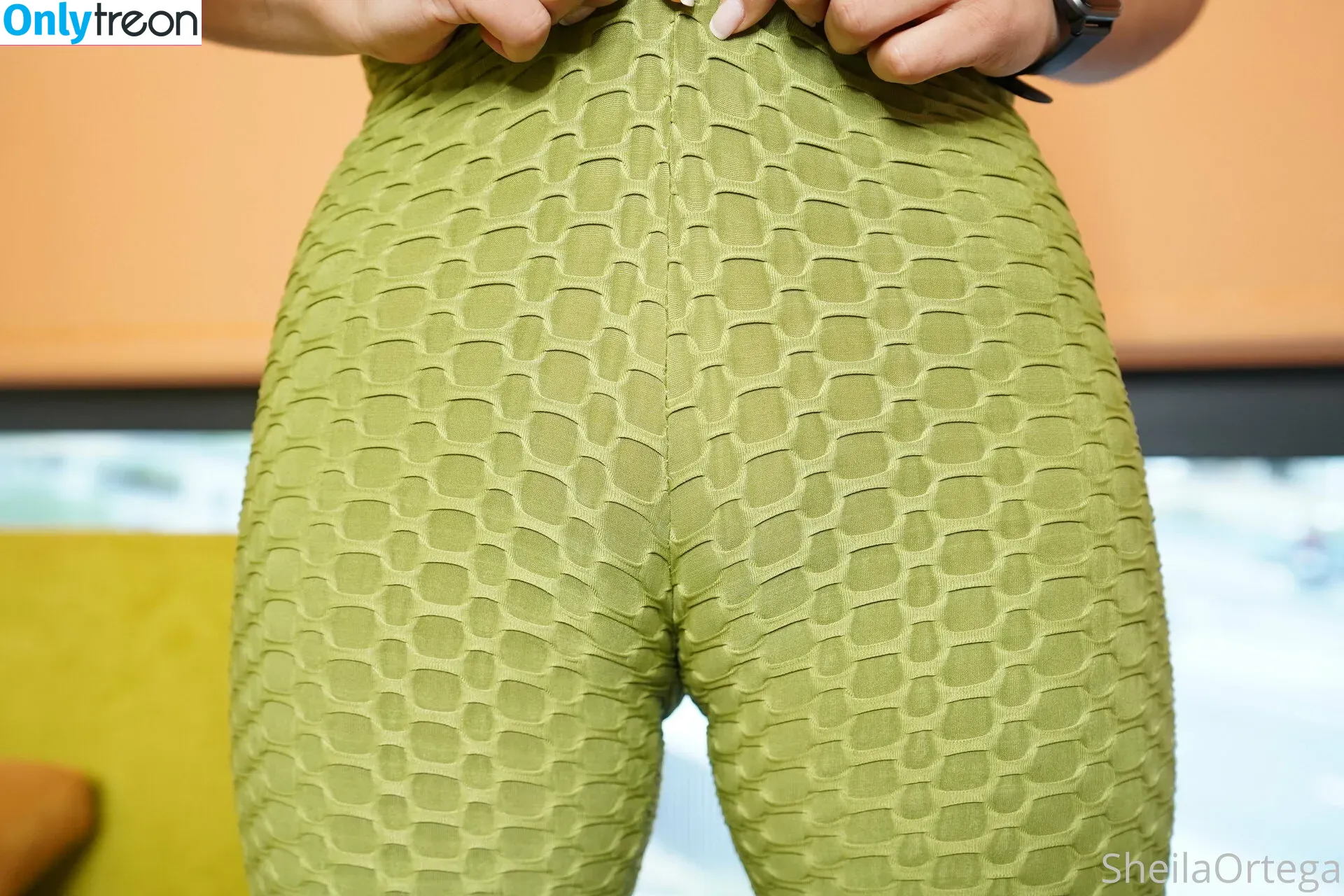 sheilaortegaoff nude photo #0014 (sheilaortegaoff)