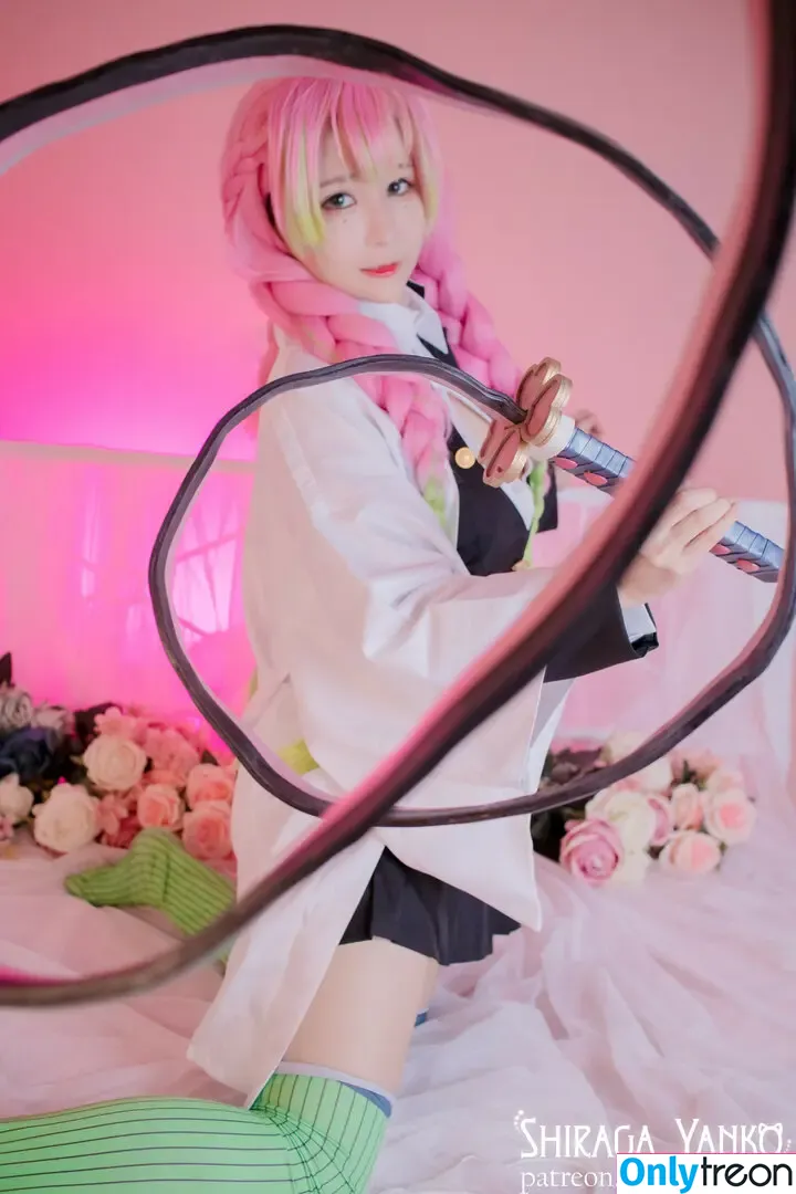 Shiraga Yanko nude photo #0296 (shiraga66 / shiraga_cosplay / shiragayanko)