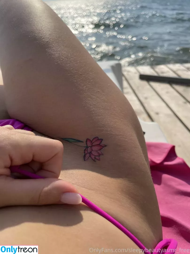 sleepybeautyasmr_free nude photo #0054 (sleepy_bumblebees)