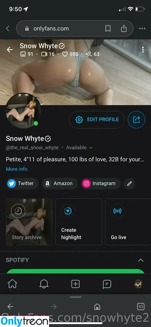 snowhyte2.0 nude photo #0003 (hesosoutheast)