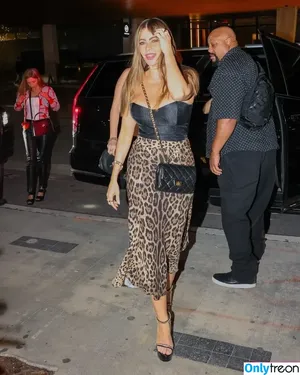 Sofia Vergara / sofiavergara / vergarasofia nude photo #0702