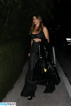 Sofia Vergara / sofiavergara / vergarasofia nude photo #0766