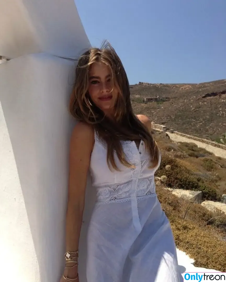 Sofia Vergara nude photo #0332 (sofiavergara / vergarasofia)