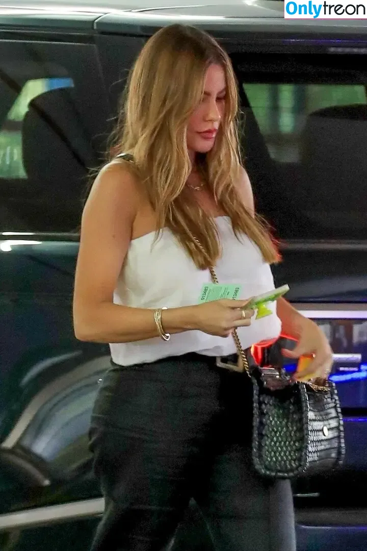 Sofia Vergara nude photo #0354 (sofiavergara / vergarasofia)