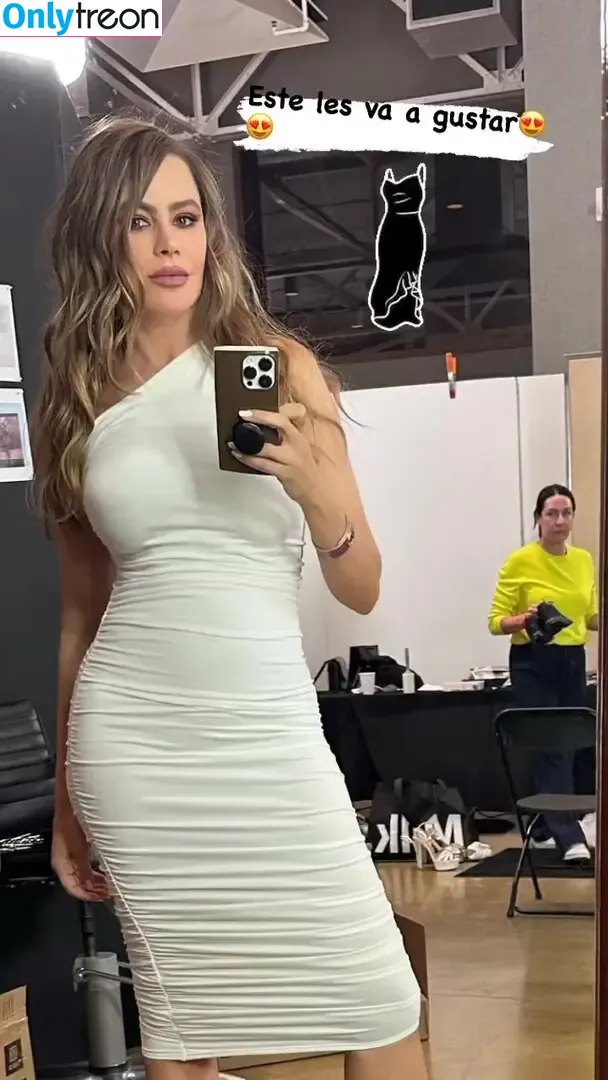 Sofia Vergara nude photo #0410 (sofiavergara / vergarasofia)