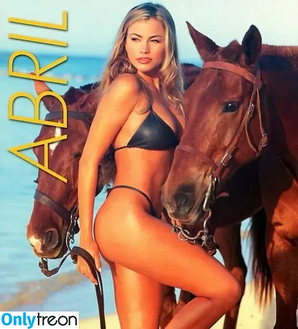 Sofia Vergara nude photo #0449 (sofiavergara / vergarasofia)