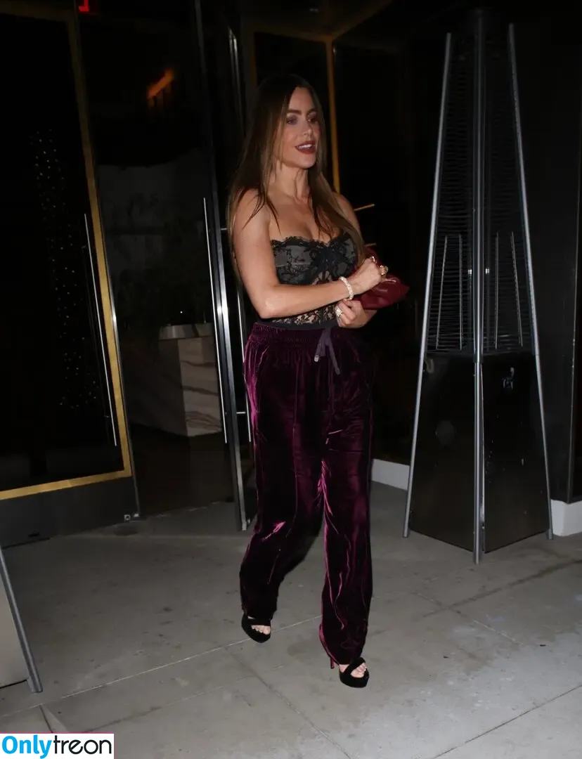 Sofia Vergara nude photo #0548 (sofiavergara / vergarasofia)