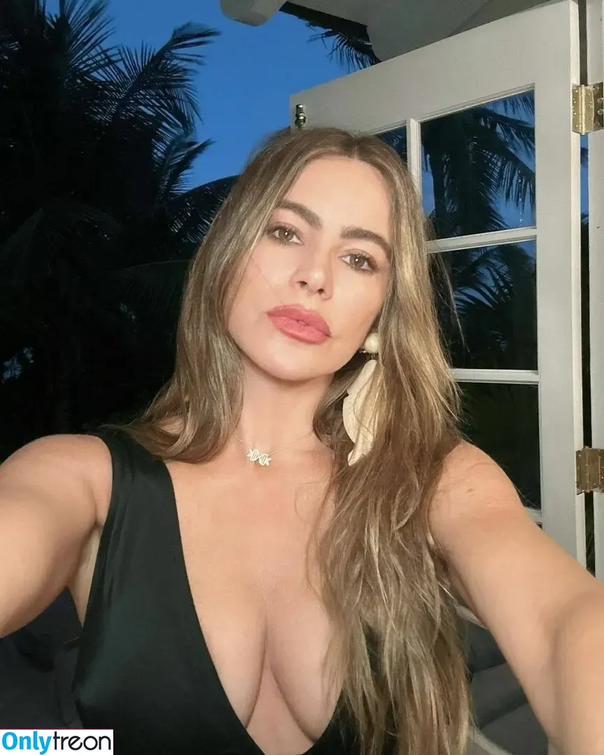 Sofia Vergara nude photo #0929 (sofiavergara / vergarasofia)