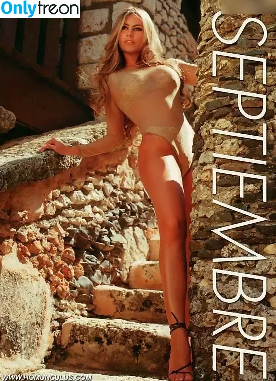 Sofia Vergara nude photo #0992 (sofiavergara / vergarasofia)