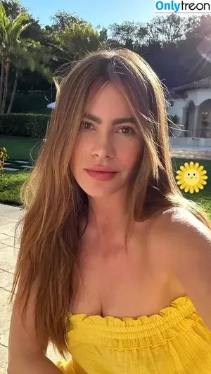 Sofia Vergara / sofiavergara / vergarasofia nude photo #1019