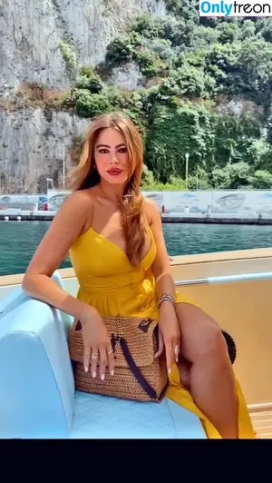 Sofia Vergara / sofiavergara / vergarasofia nude photo #1042