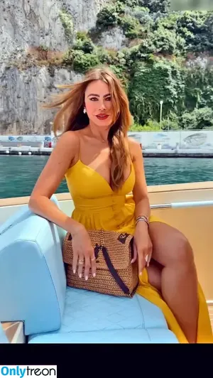 Sofia Vergara / sofiavergara / vergarasofia nude photo #1044