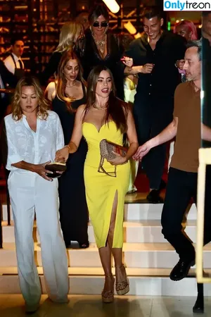 Sofia Vergara / sofiavergara / vergarasofia nude photo #1739