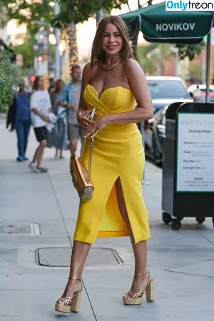 Sofia Vergara / sofiavergara / vergarasofia nude photo #1753