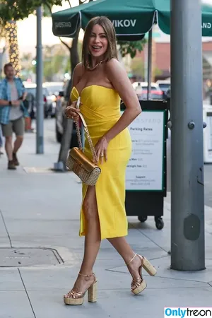 Sofia Vergara / sofiavergara / vergarasofia nude photo #1763