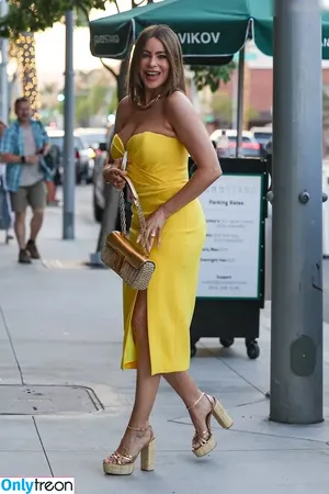Sofia Vergara / sofiavergara / vergarasofia nude photo #1767