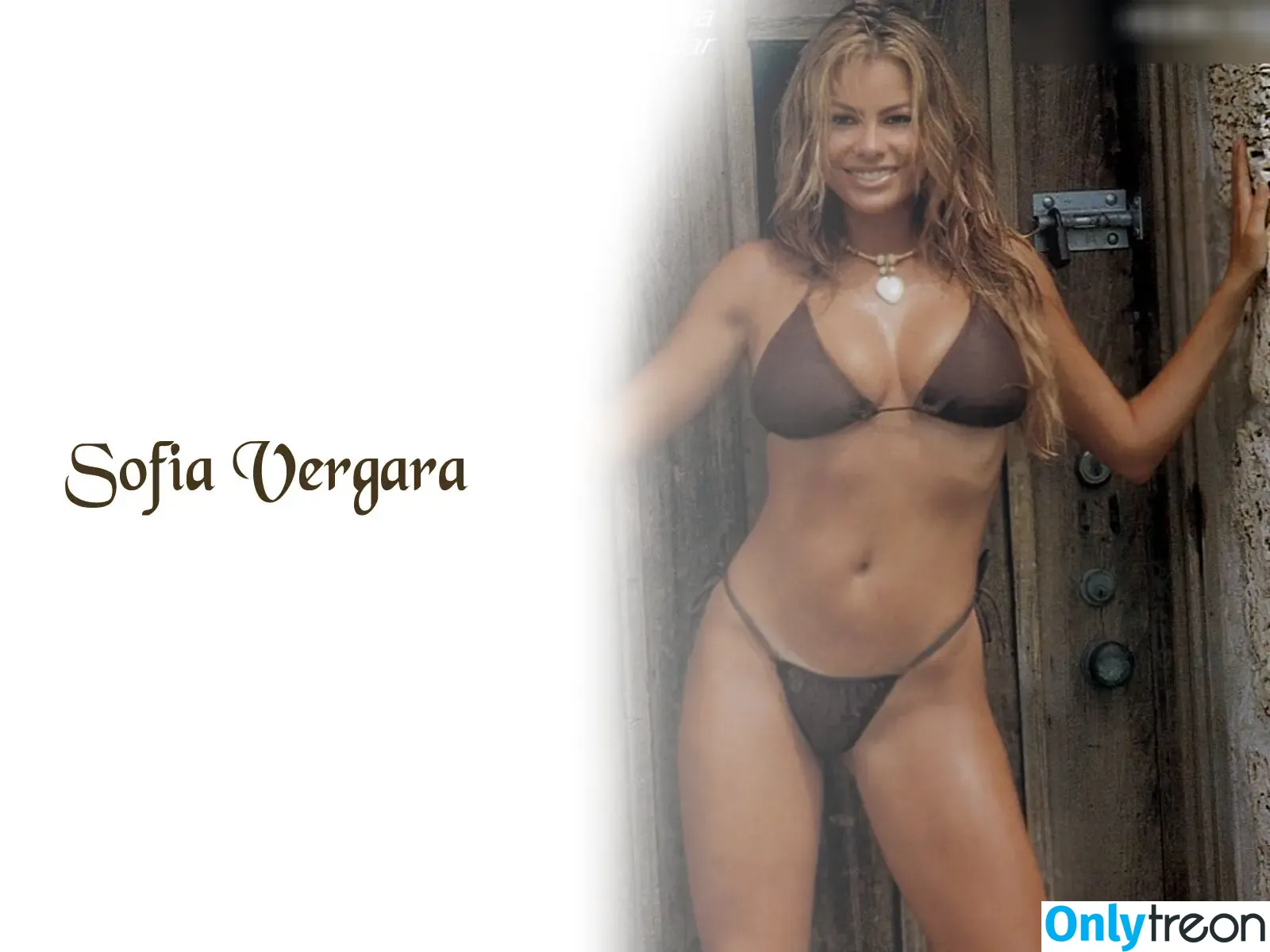 Sofia Vergara nude photo #1001 (sofiavergara / vergarasofia)