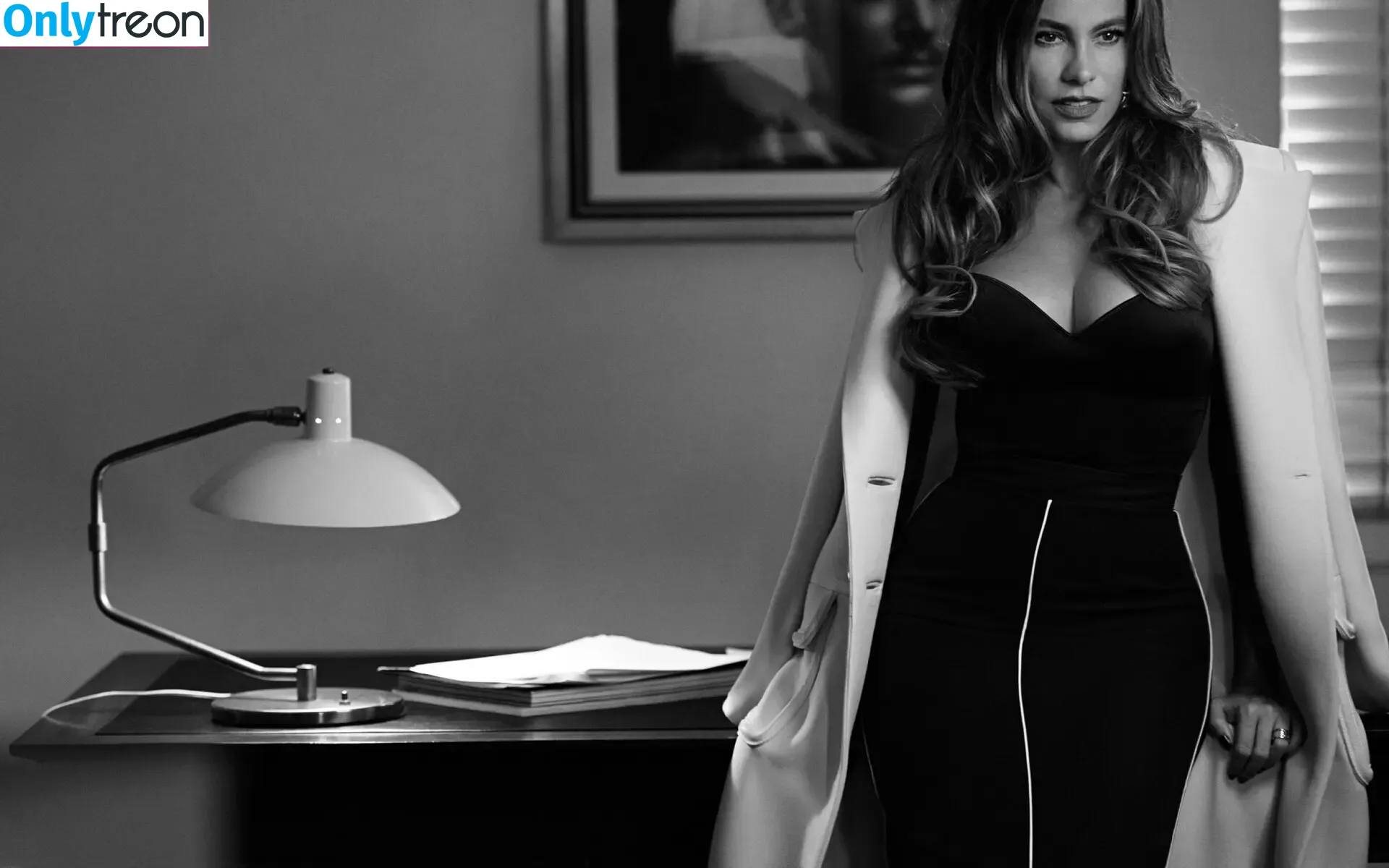 Sofia Vergara nude photo #1117 (sofiavergara / vergarasofia)