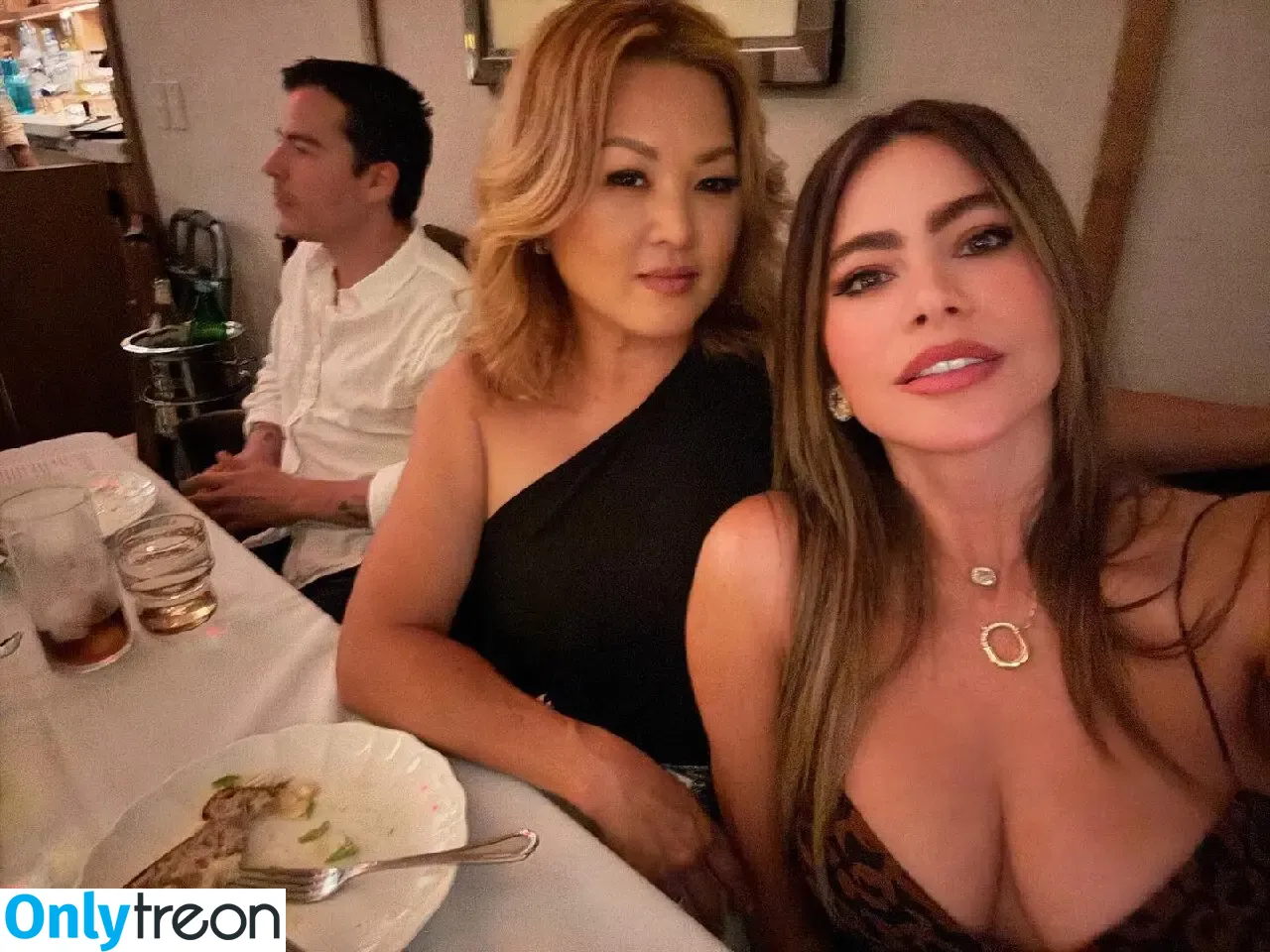 Sofia Vergara nude photo #1144 (sofiavergara / vergarasofia)