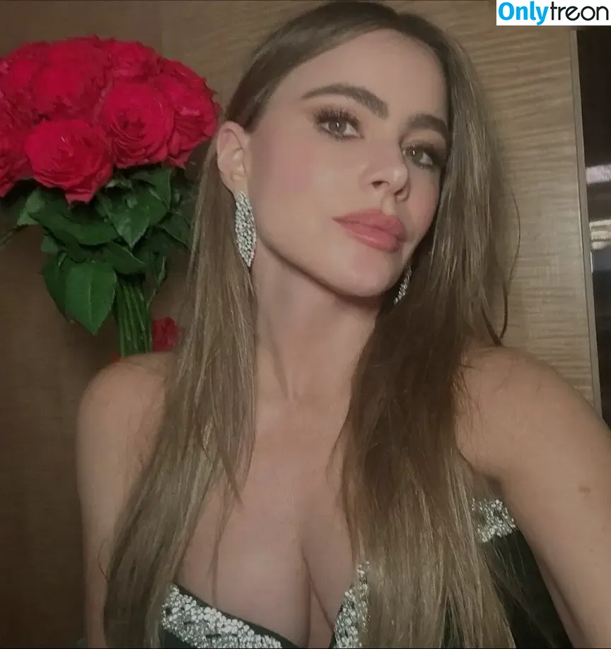 Sofia Vergara nude photo #1189 (sofiavergara / vergarasofia)