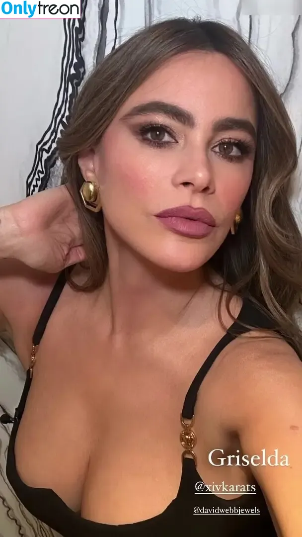 Sofia Vergara nude photo #1306 (sofiavergara / vergarasofia)
