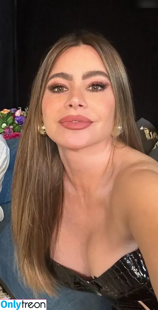 Sofia Vergara nude photo #1736 (sofiavergara / vergarasofia)