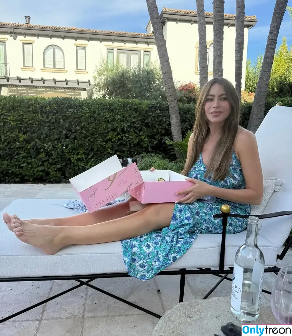 Sofia Vergara nude photo #2777 (sofiavergara / vergarasofia)