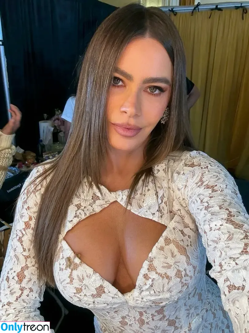 Sofia Vergara nude photo #2797 (sofiavergara / vergarasofia)