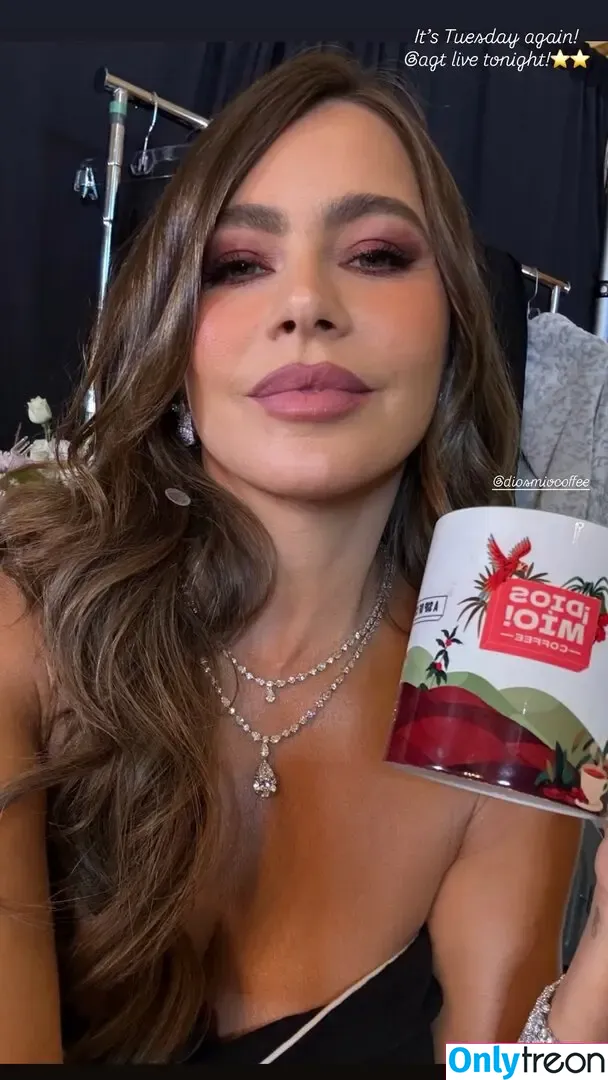 Sofia Vergara nude photo #2799 (sofiavergara / vergarasofia)
