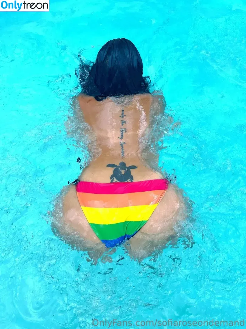 sofiaroseondemand nude photo #0407 (sophiarose92)