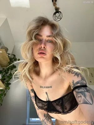 softgodess / hannanasss / heatedgodess / softgoddesscraft nude photo #0441