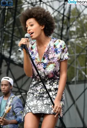 Solange Knowles / solangeknowles nude photo #0050