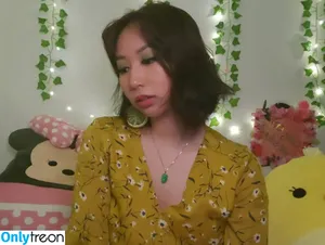 Sophia Phan / EatMyPhannnie / Sophiaphannn nude photo #0111