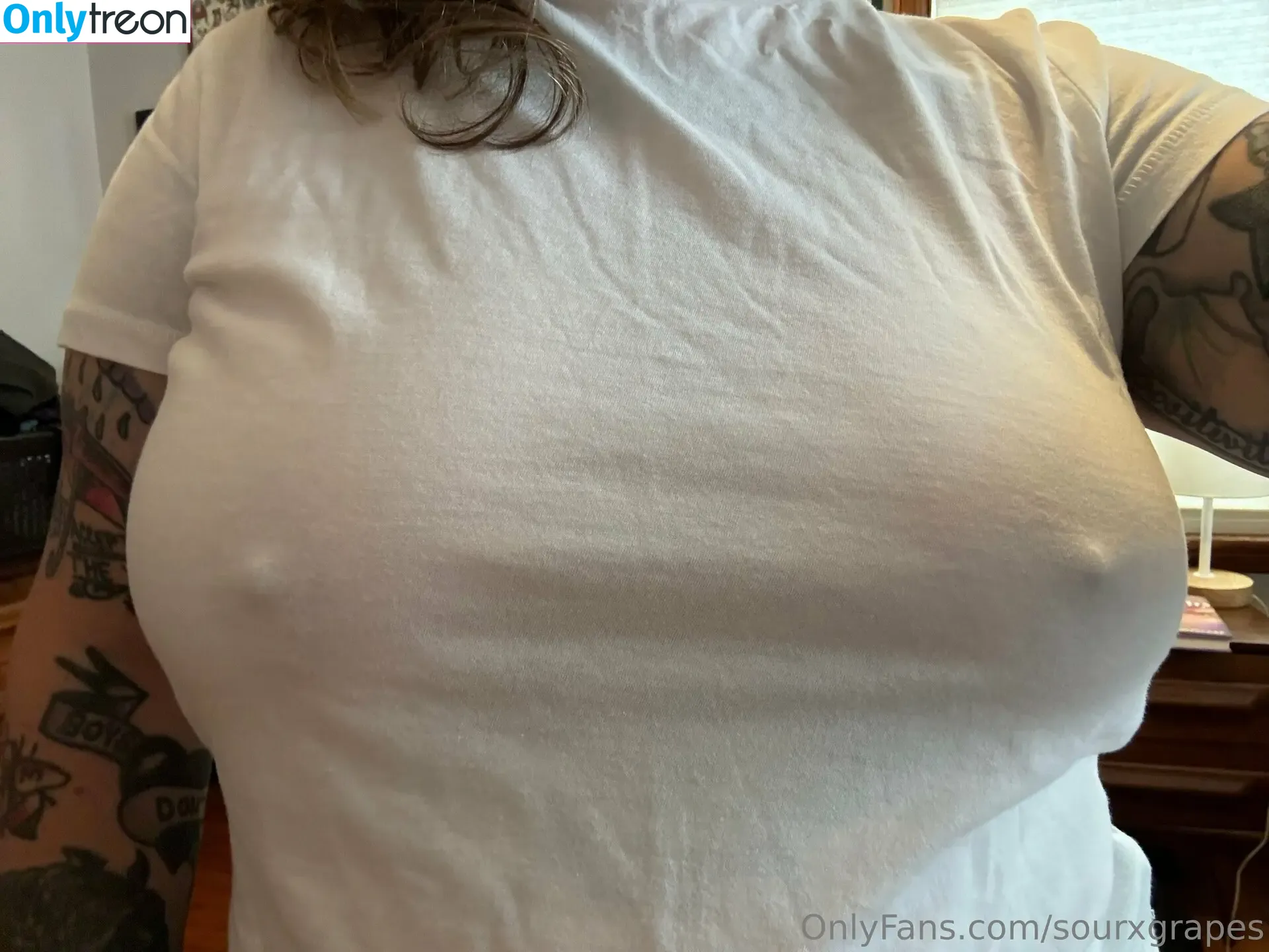 sourxgrapes nude photo #0039 (sourxgrapes)
