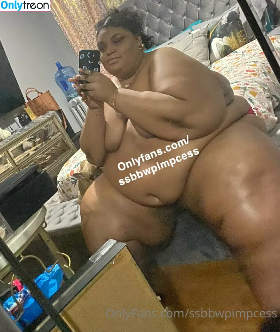 ssbbwpimpcess nude photo #0005 (pimpcessdime94)