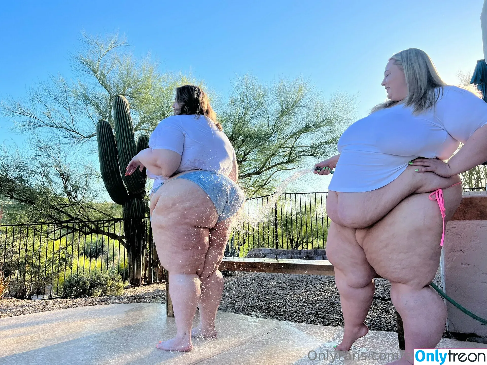 ssbbwroxxie nude photo #0169 (roxxieyo2)