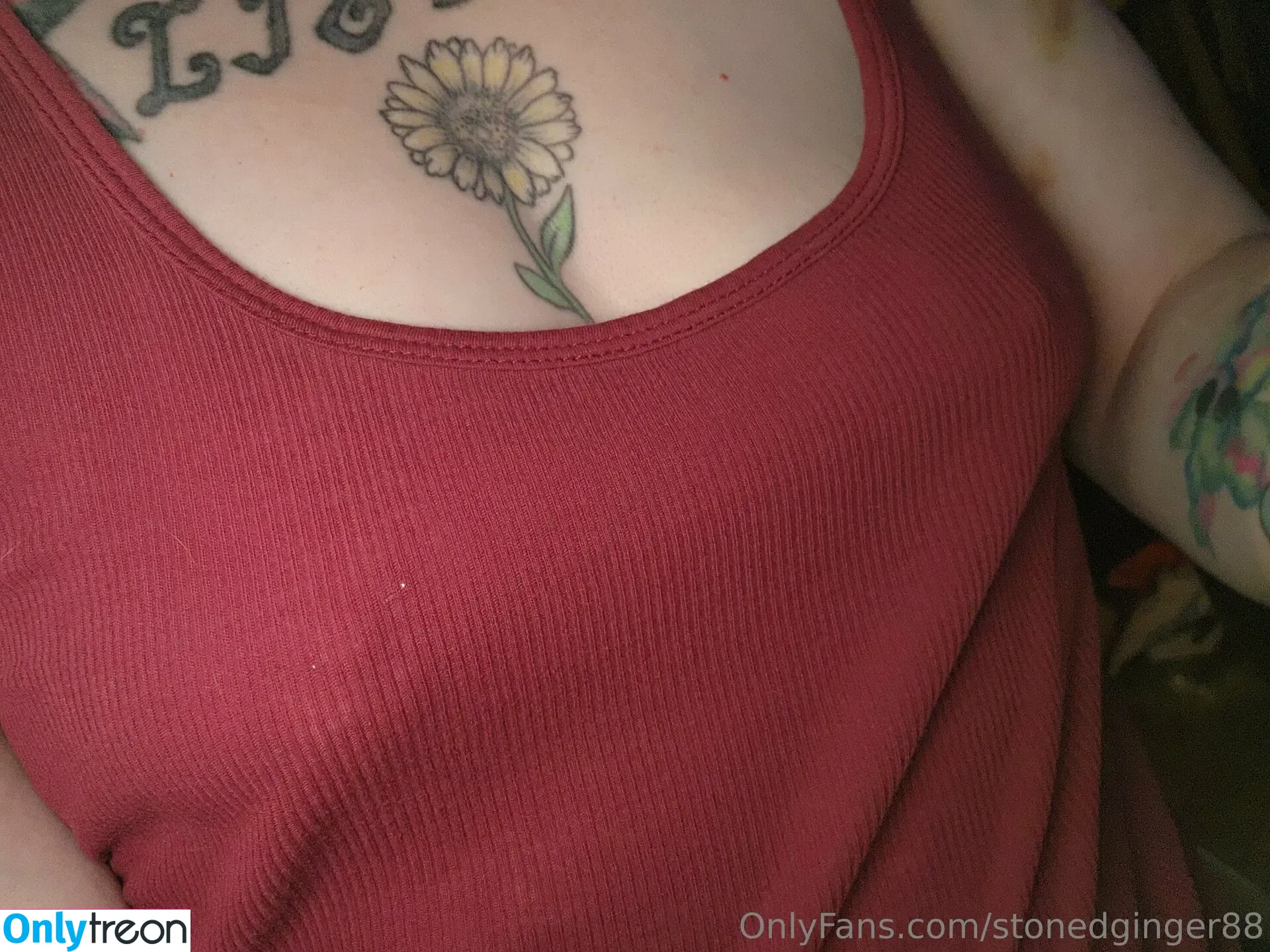 stonedginger88 nude photo #0048 (stonedginger88)