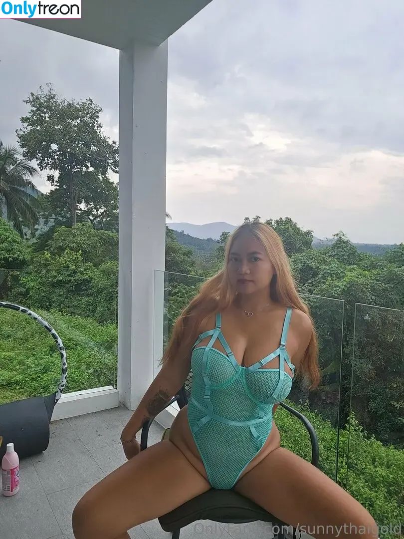sunnythaigold nude photo #0049 (sunnythaigold)