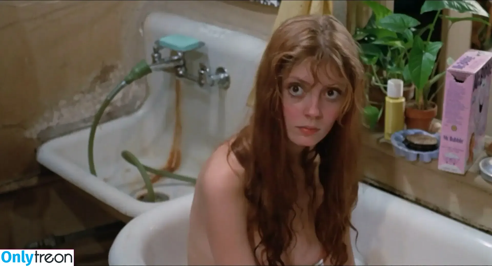 Susan Sarandon nude photo #0147 (susansarandon)